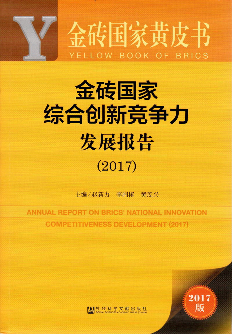 男人捅美女逼口视频网站APP下载金砖国家综合创新竞争力发展报告（2017）